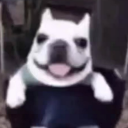 Mezcals Discord server icon