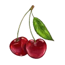 cհᥱɾɾყƒℓυsh