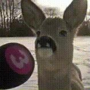 Chud Town Discord server icon