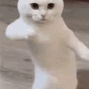 Dreamy's Basement. Discord server icon