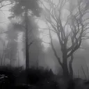 yi