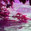 The chill zone | V2