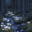 Ethereal Library,,,✒ Discord server icon