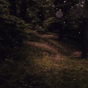 🌻 The Enchanted Grove ✨ Discord server icon