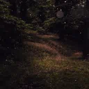 🌻 The Enchanted Grove ✨