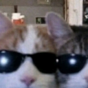 umm Discord server icon