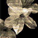 Opus Discord server icon