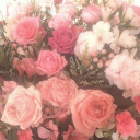 SPRING BLOSSOMS || 18+ Discord server icon