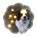 Canine’s Graphics Discord server icon