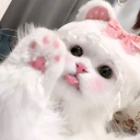 냥냥 Discord server icon