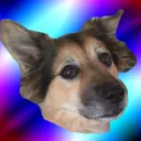 theBKL0unge