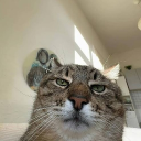 🎮 𝔾𝕒𝕞𝕖 i𝕟 ℂ𝕙𝕒𝕥 𝕃𝕠𝕓𝕓𝕪 ×▽× Discord server icon