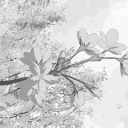 purityy Discord server icon