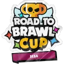 ROAD TO BRAWL CUP SESA