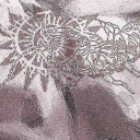 Nvictia Discord server icon