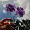 𝓐𝓾𝓮𝓻𝓪 🌸