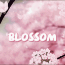 ෆ Blossom Lounge