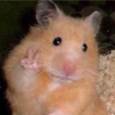 햄찌 마을 Discord server icon