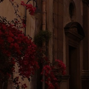 The Counting Coven Discord server icon