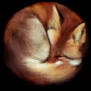 Homely Companionship