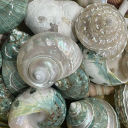 𓈒‿   ᚐ  ݂۫  oceanic 𓈒  𓏫 ˚   ༘ Discord server icon