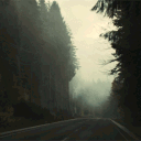 ⋆˚࿔ ⌞ the ireful disease ⌝ — apocalyptic roleplay Discord server icon