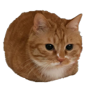 Chibburt - Emojis + Stickers Discord server icon