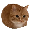 Chibburt - Emojis + Stickers