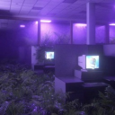 ʜᴏʀʀᴏʀ'ꜱ ʟɪᴍɪɴᴀʟ ʜᴀᴠᴇɴ Discord server icon