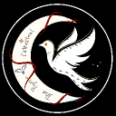 Coo'thedral: The Pigeon Cathedral Discord server icon