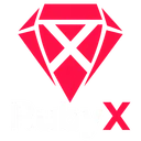 RubyX.cc