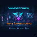 FIVE M MODS FR