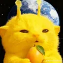 Fools Lemons