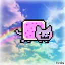 𓏼 ´꒳`𓏼)    nyancats    　﹕ discord icon