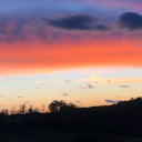 ~ Wild West Paradise ~ Discord server icon