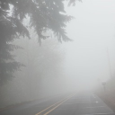 🩶Greywood RP [18+] Discord server icon