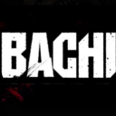Bachi
