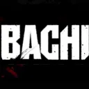 Bachi