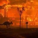 Australia Emergency News