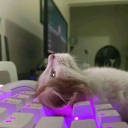 SHOPPER_무료외주 (디스코드 봇)