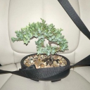 Gefängnis Discord server icon