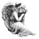 ⟢ 𝖲𝗍𝖺𝗋𝗌 𝖬𝖺𝗒 𝖥𝖺𝗅𝗅 Discord server icon