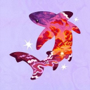 Sunset Shark