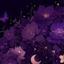 ‧͙⁺˚*･༓☾ 𝓜𝓲𝓭𝓷𝓲𝓰𝓱𝓽 𝓢𝓪𝓷𝓬𝓽𝓾𝓪𝓻𝔂☽༓･*˚⁺‧͙