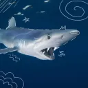 16+ Sharktopia