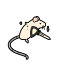 mousetrap Discord server icon