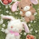 AMBROSIA | 17+| SFW | Cozy | social | Friend Server 🪴 Discord Server