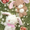 AMBROSIA | 17+| SFW | Cozy | social | Friend Server 🪴 Discord Server