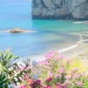 🌊 ⋆ ☀  🏖 𝑉𝑖𝑏𝑟𝑎𝑐𝑖𝑜𝑛𝑒𝑠 𝑑𝑒 𝑝𝑙𝑎𝑦𝑎 🏖   ☀ ⋆ 🌊 Discord server icon