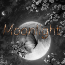 딸빛자료방 Discord server icon